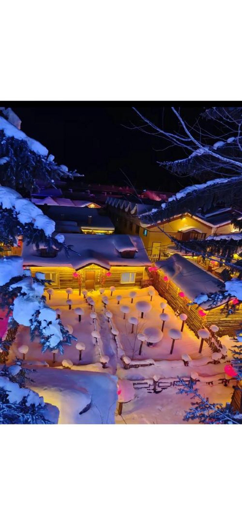 哈尔滨旅行：冬日冰雪与夏日草原的独特魅力